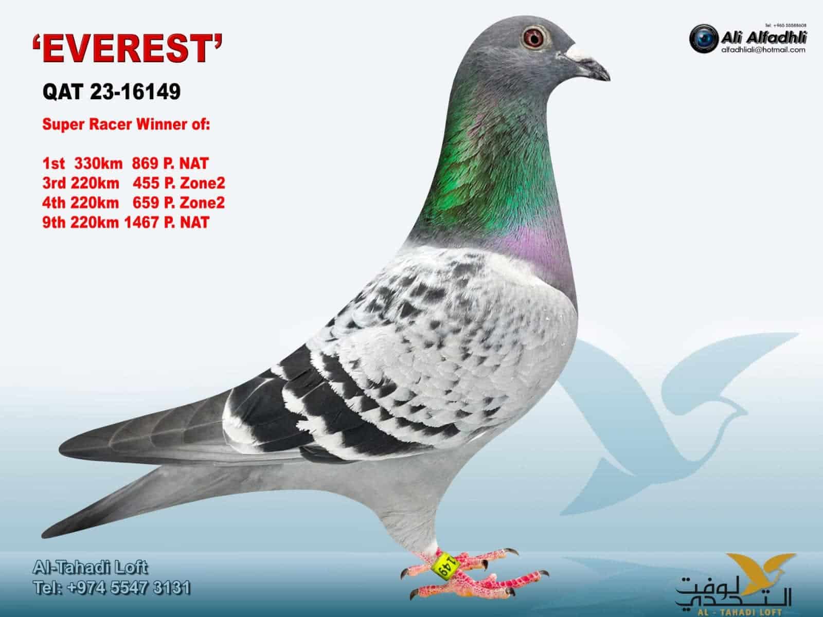Khater Alkhater QAT.23-16149 Everest