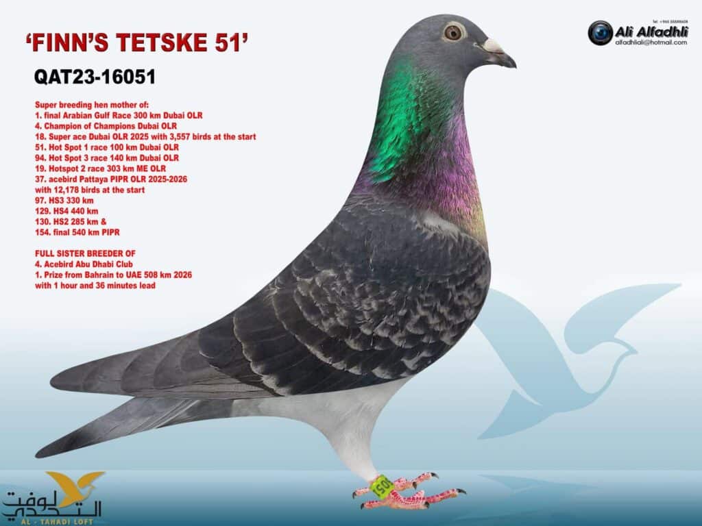 Khater Alkhater QAT.23-16051 Finns New Teske