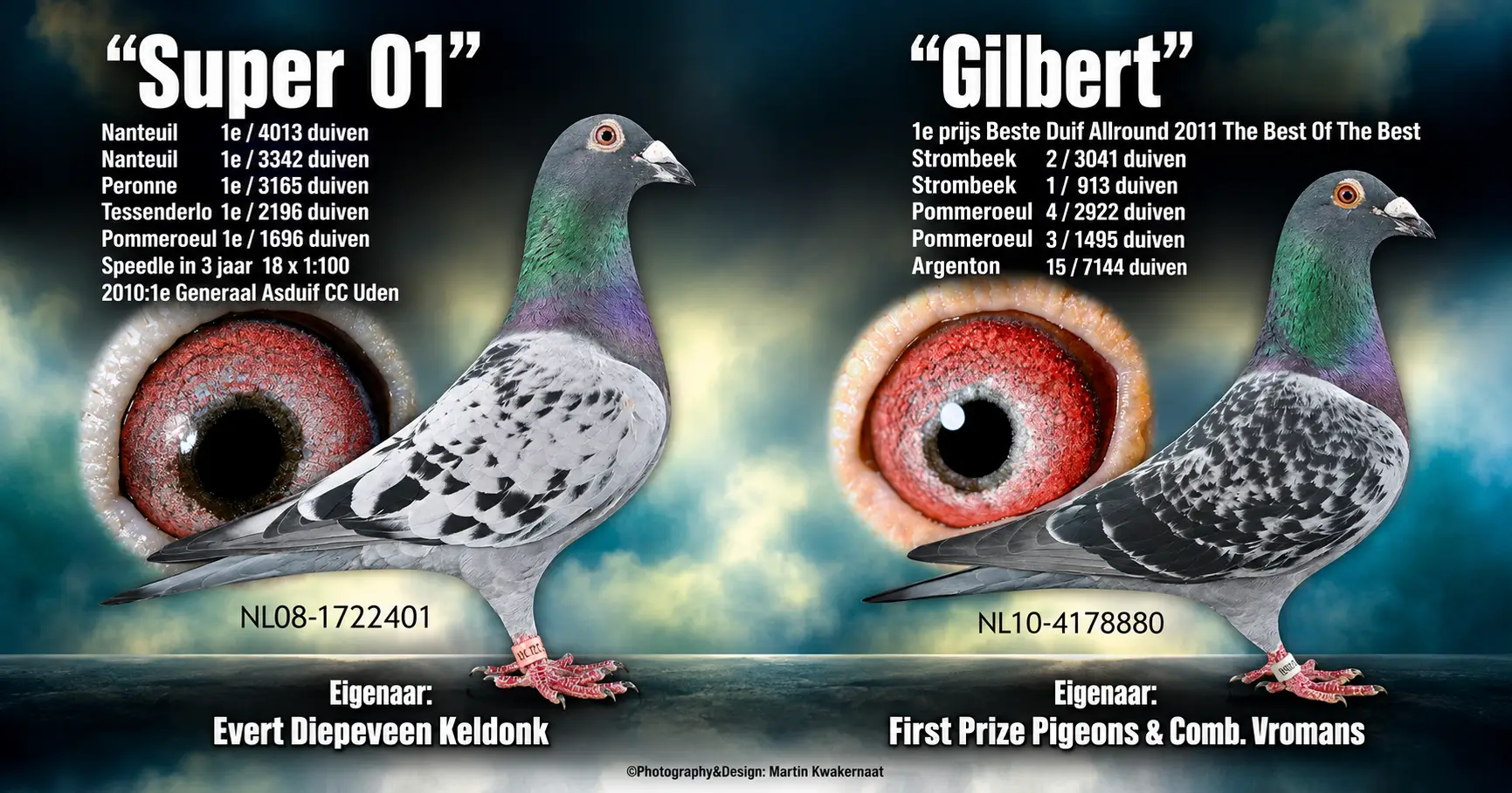 Evert Diepeveen Super 01 x Gilbert