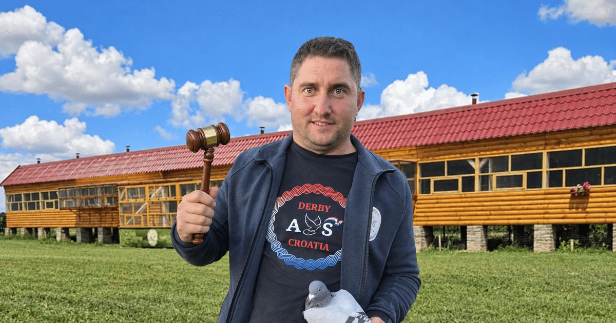 Home 6 Petar Brlosic holds an auction gavel and a racing pigeon in front of the Derby AS Croatia loft in an edited promotional image.