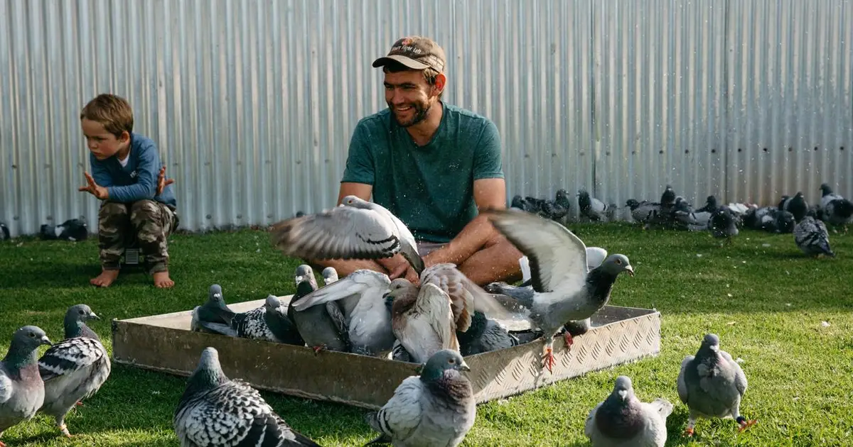 Home 8 Drikus Odendaal at Victoria Falls smiles among racing pigeons gathered around a bath while a child stands nearby on the lawn