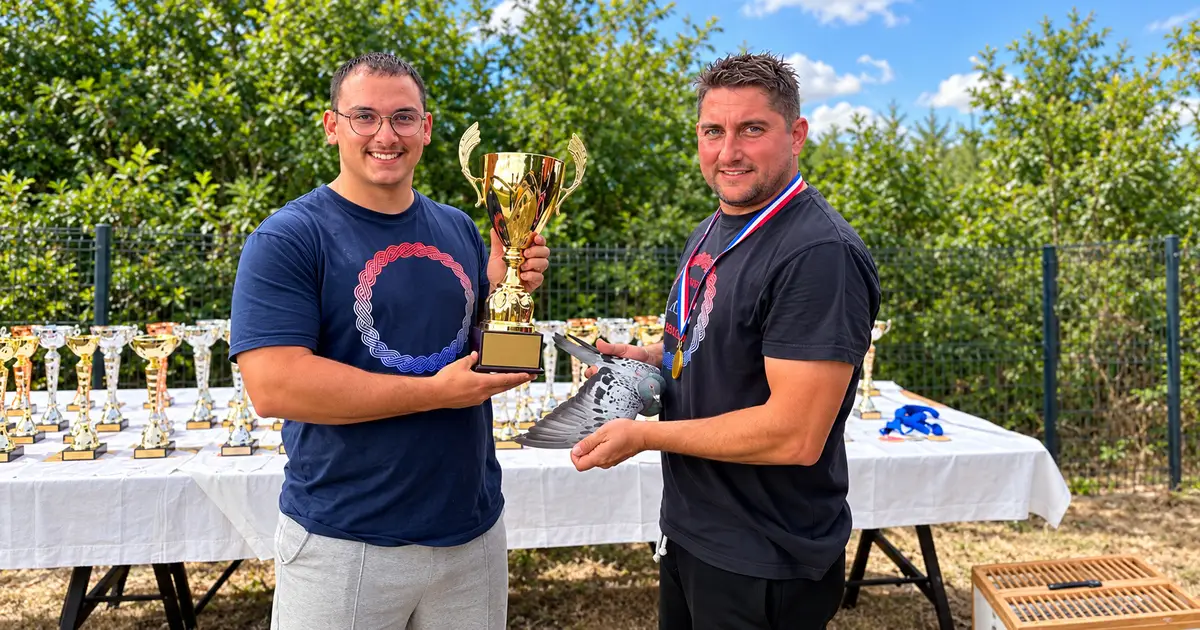 Home 4 Derby As Croatia: Two men present a gold trophy and racing pigeon at a Derby AS Croatia awards table in an enhanced editorial photograph. Credit: Original photograph supplied by user; visual enhancement and graphic production for Pigeon Boss.