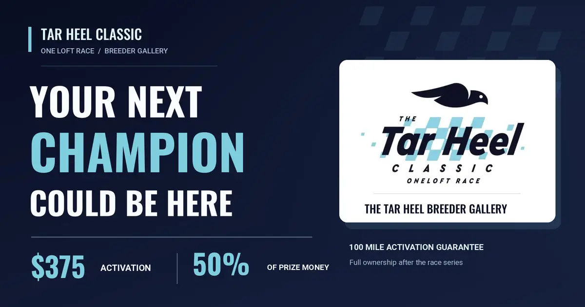 Navy Tar Heel Classic Breeder Gallery graphic with pigeon logo, Your Next Champion headline, $375 activation and 50% prize money.