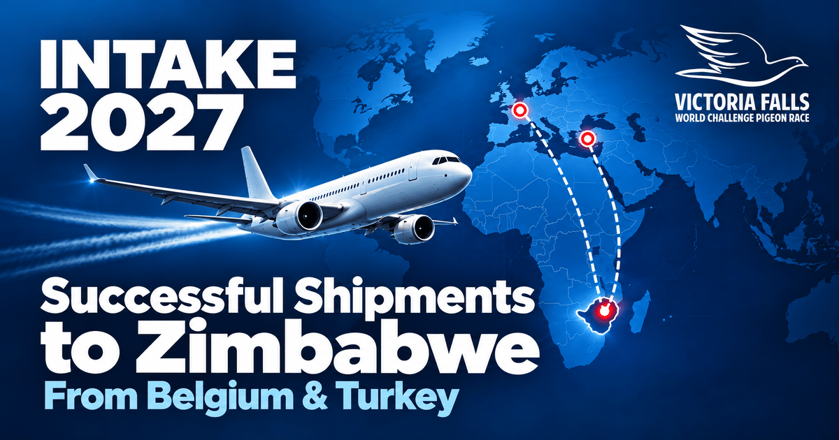 TTwo More Successful Shipments arrives at Victoria Falls Loft