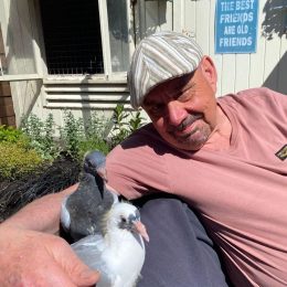 Jan de Wijs, The Pigeons Boss, Blogger and Racing Pigeon Expert
