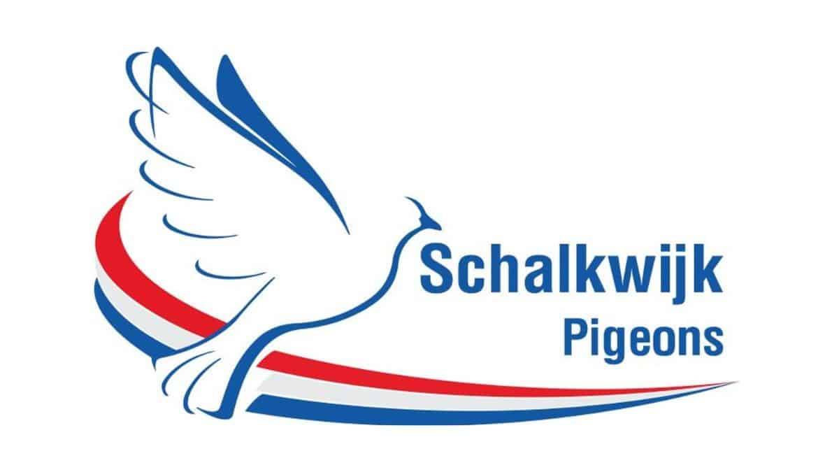 Schalkwijk Pigeon Racing Pigeons